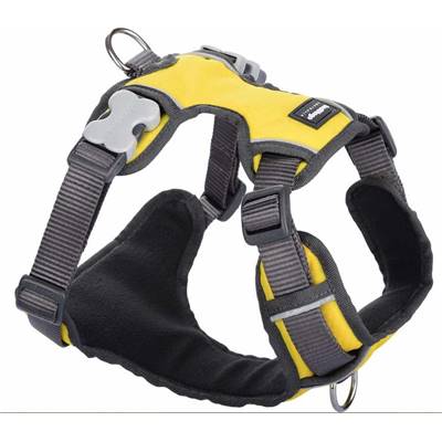 RED DINGO Padded harnais Yellow L 25mm, cou 47-73cm, corps 56-80cm