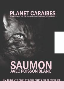 CONNOISSEUR CHAT STÉRILISÉ SAUMON ET POISSON BLANC 5KG