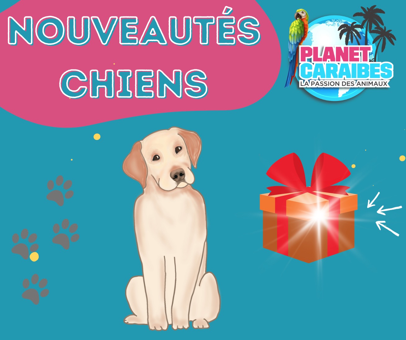 CHIENS