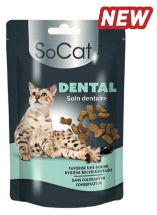 SOCAT DENTAL 60G
