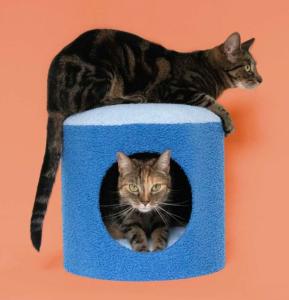 MAISON CHAT COOCKOO HAPPY HOUSE BLEU 35CM