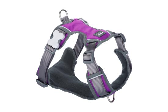 RED DINGO Padded harnais PURPLE XL 25mm, cou 62-108cm, corps 72-112cm