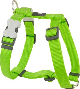 RED DINGO Dog harnais unis Classic Lime Green M 20mm, cou 36-59cm, corps 45-66cm