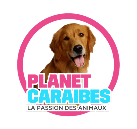 PLANET CARAIBES