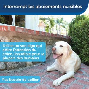 PETSAFE MAISONETTE ANTI ABOIEMENT EXTERIEUR
