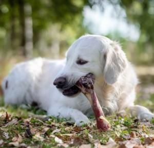 ULTRA PREMIUM OS DE JAMBON 60G