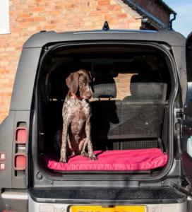 COUSSIN CONFORTABLE CRATE 76x53x7CM BORDEAUX