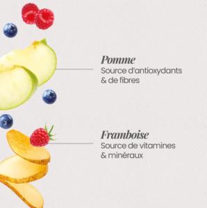 ULTRA PREMIUM SANS CEREALES CHIEN ADULTE - SAUMON FRAIS 12 KG