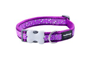 RED DINGO Dog collier Design Flying Bones Purple L 25mm x 41-63cm