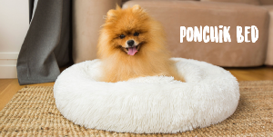 COUSSIN PONCHIK S