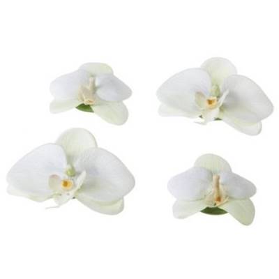 ORCHID WHITE 7/9 cm 4 pièces