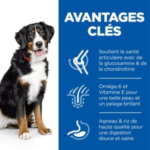 HILL'S SCIENCE PLAN croquettes pour Chien Adulte de Grande Race à l'Agneau et au Riz 12kg