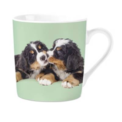 Mug Berner S