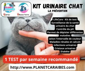 TEST KIT URINAIRE CHAT 10G - 1PC