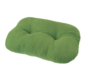 COUSSIN GALETTE 70 x 45 cm VERT