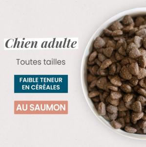 ULTRA PREMIUM CHIEN ADUTE SAUMON & RIZ 12 KG