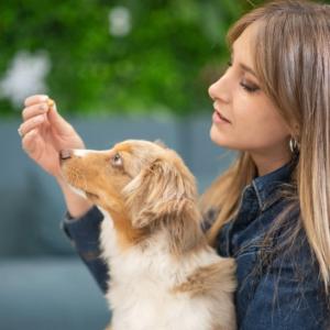 ULTRA PREMIUM FRIANDISES EDUCATION SANS CEREALES 200G