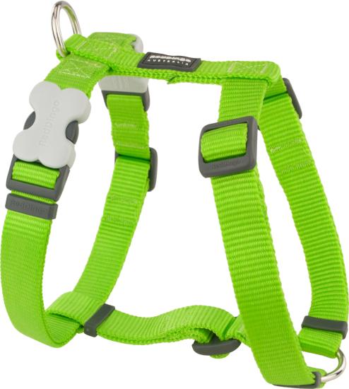 RED DINGO Dog harnais unis Classic Lime Green L 25mm, cou 46-76cm, corps 56-80cm