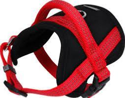 WOUAPY HARNAIS CONFORT PROTECT TL ROUGE