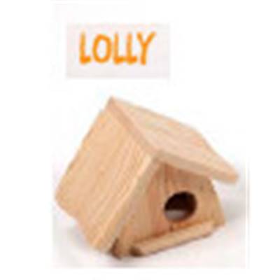 MAISON BOIS LOLLY POUR RONGEURS