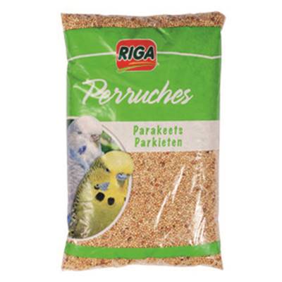 PERRUCHE COUS.3KG