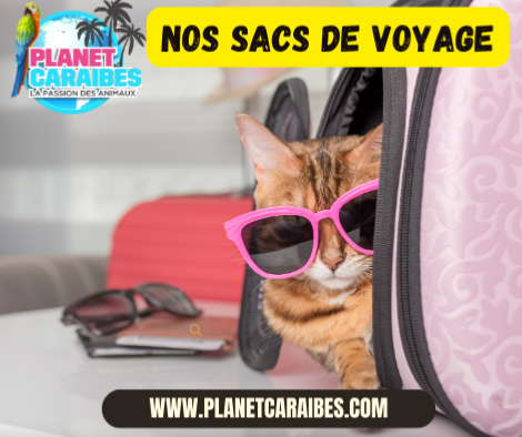 NOS SACS DE VOYAGE