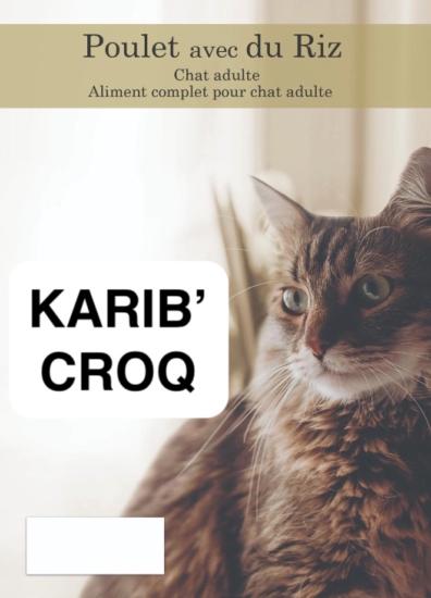 SUPER PREMIUM CHAT ADULTE POULET ET RIZ 2KG