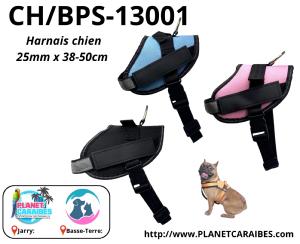 HARNAIS CHIEN 25mmX38x50cm