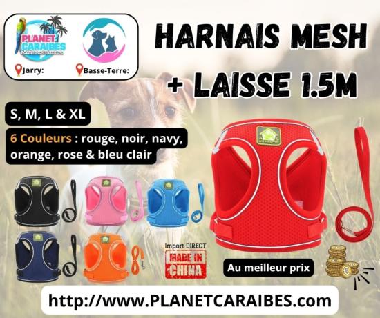 HARNAIS MESH XS + LAISSE 1,5M