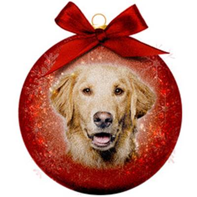 Boule de Noël givrée Golden Retriever