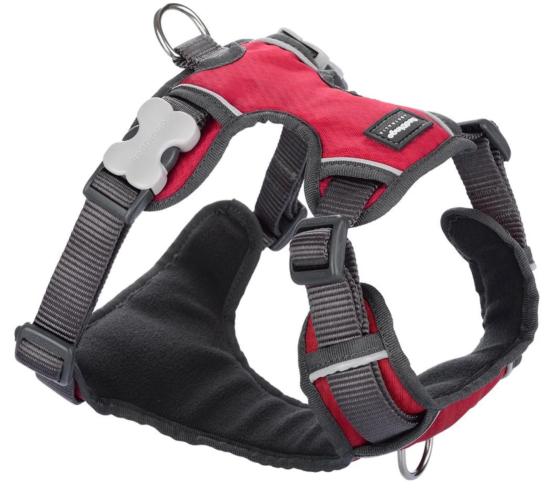 RED DINGO Padded harnais red XS 12mm, cou 25-36cm, corps 31-43cm