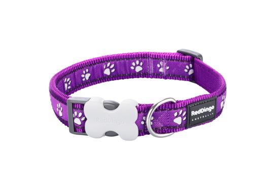 RED DINGO Dog collier Design Desert Paws Purple S 15mm x 24-36cm