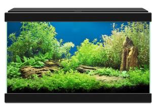 CIANO AQUARIUM AQUA 20 LED 40x20x24,8CM NOIR