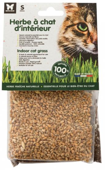 HERBE A CHAT A SEMER TAILLE S - 125G