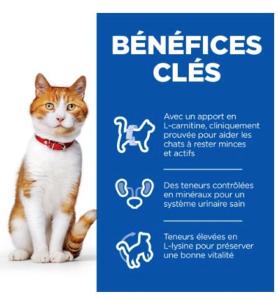 Hill's Science Plan Chat Adult Sterilised Cat Saumon 3kg