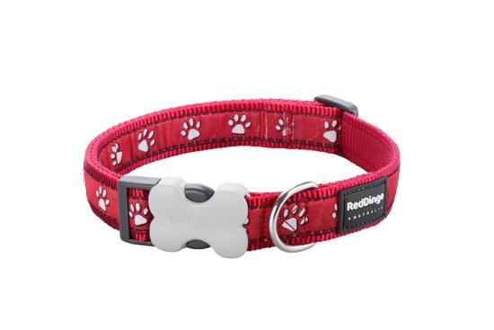 RED DINGO Dog collier Design Desert Paws Red L 25mm x 41-63cm