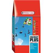 ENERGY PLUS IC+ 18kg (aliment sport pigeon)