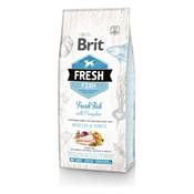 BRIT FRESH - DRY DOG -ADULT LARGE - FISH WITH PUMPKIN - 12KG