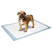 TAPIS EDUCATEUR M 10PC 60x45CM