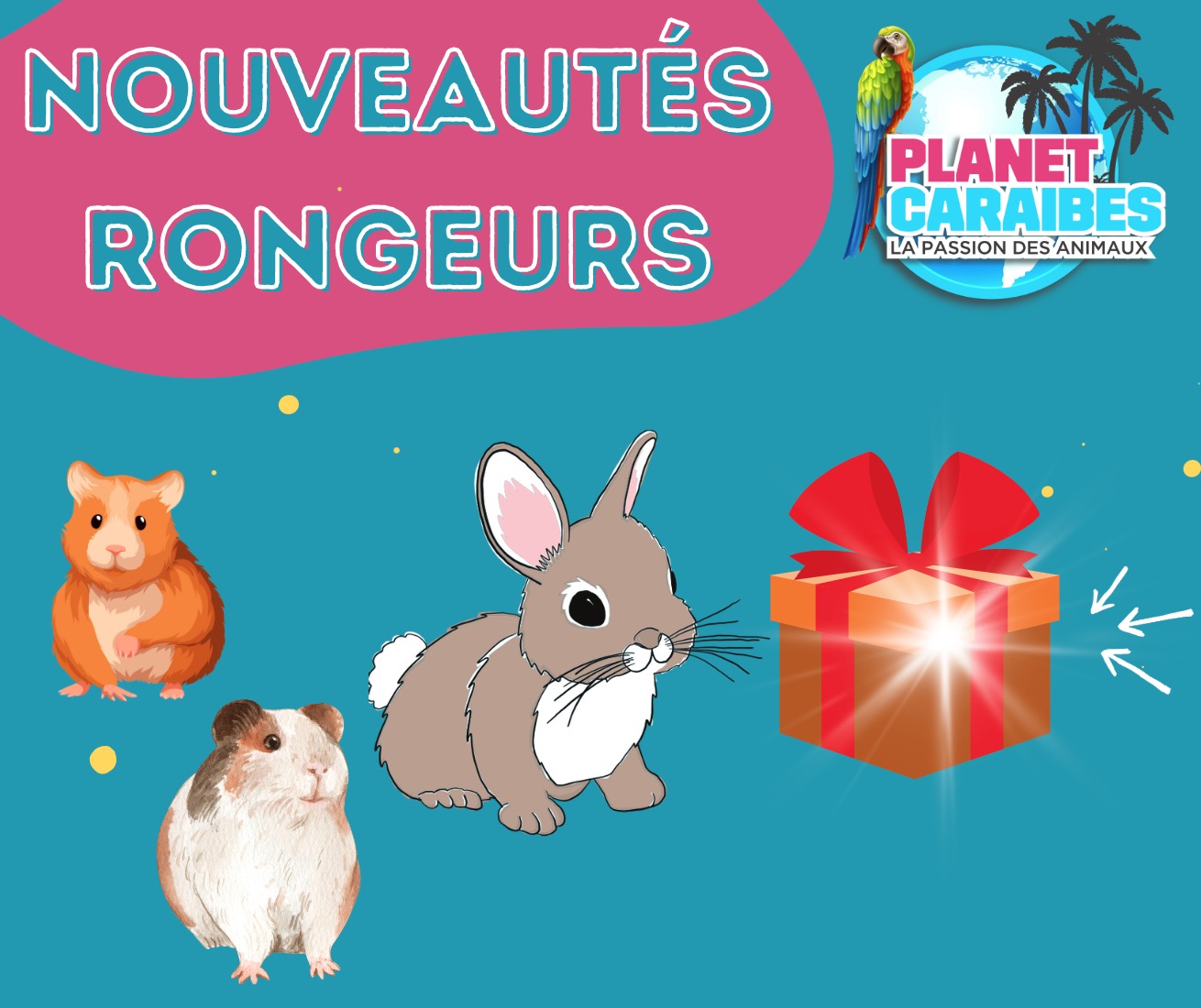 RONGEURS