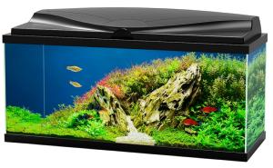 CIANO AQUARIUM AQUA 80 LED CF150 80x30x41,5CM NOIR