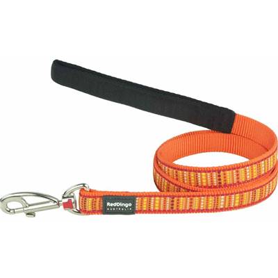 RED DINGO Dog laisse Design Lotzadotz Orange M 20mm x 1.2m