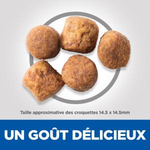 Hill's Science Plan Adult Healthy Mobility croquettes pour grand chien au poulet 12kg