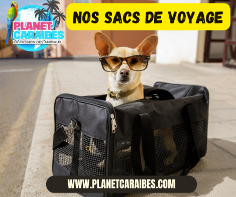 NOS SACS DE VOYAGE