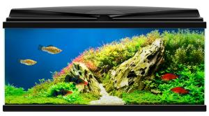 CIANO AQUARIUM AQUA 80 LED CF150 80x30x41,5CM NOIR