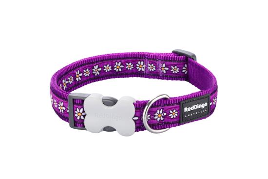 RED DINGO Dog collier Design Daisy Chain Purple M 20mm x 31-47cm