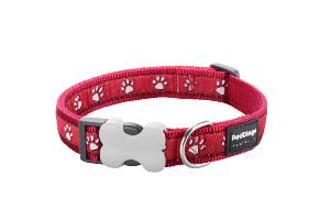 RED DINGO Dog collier Design Desert Paws Red M 20mm x 31-47cm