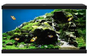 CIANO AQUARIUM AQUA 60 LED CF150 60x30x41CM NOIR