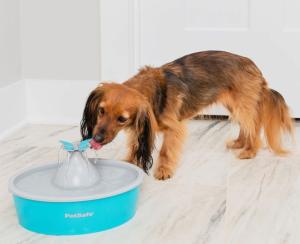 PETSAFE FONTAINE BUTTERFLY 1.5 L SANS BPA