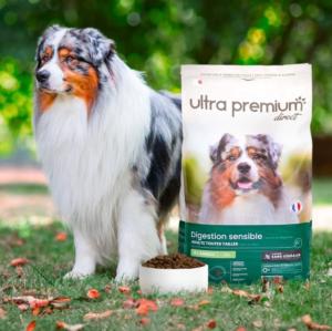 ULTRA PREMIUM SANS CEREALES CHIEN ADULTE DIGESTION SENSIBLE- AGNEAU 12 KG